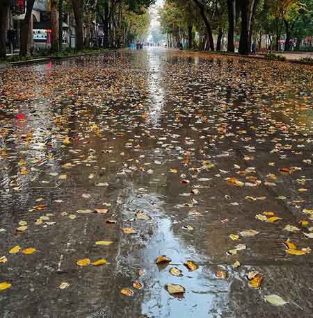 دانلود آهنگ چه خوشه بارون بیاد حسین عامری
